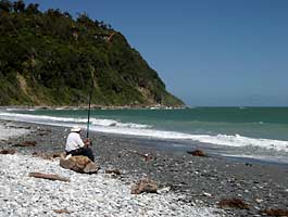 新西兰人钓鱼
